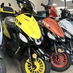 New Scooters Best Prices Guaranteed! 