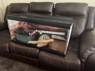 Lizard tank