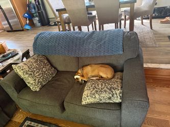 Gray Fabric Loveseat Sofa