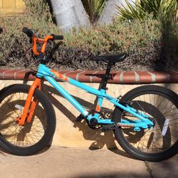 Kids Giant BMX Bike