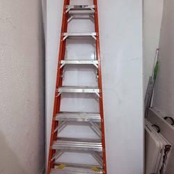 12ft Ladder 