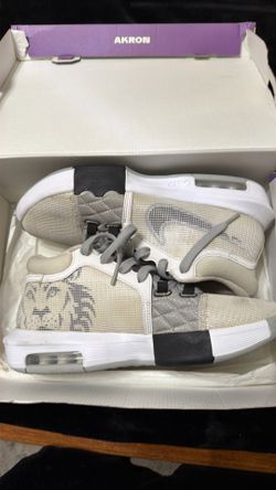 LeBron James vitness viii