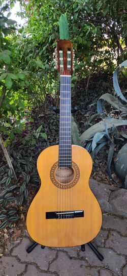 Sunlite Classical Guitar