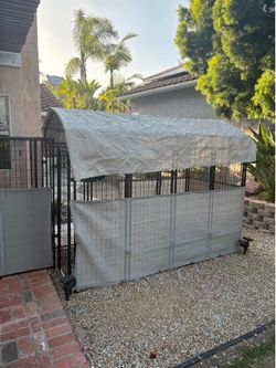 Large Dog Run available