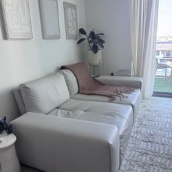 Light Gray Sofa 