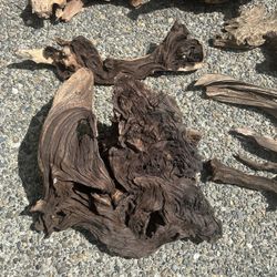 Mopani Wood For Aquarium Aquascaping 