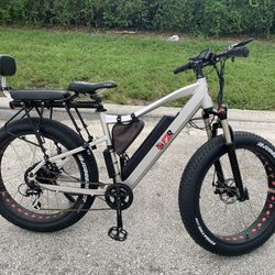 ebike e-bike electric bike 48v Fat Tire F2R
