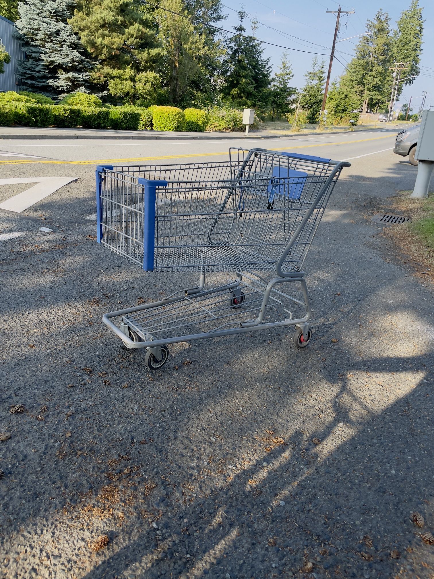 Walmart Shopping Cart