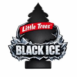 Black Ice Car Spray 16 oz
