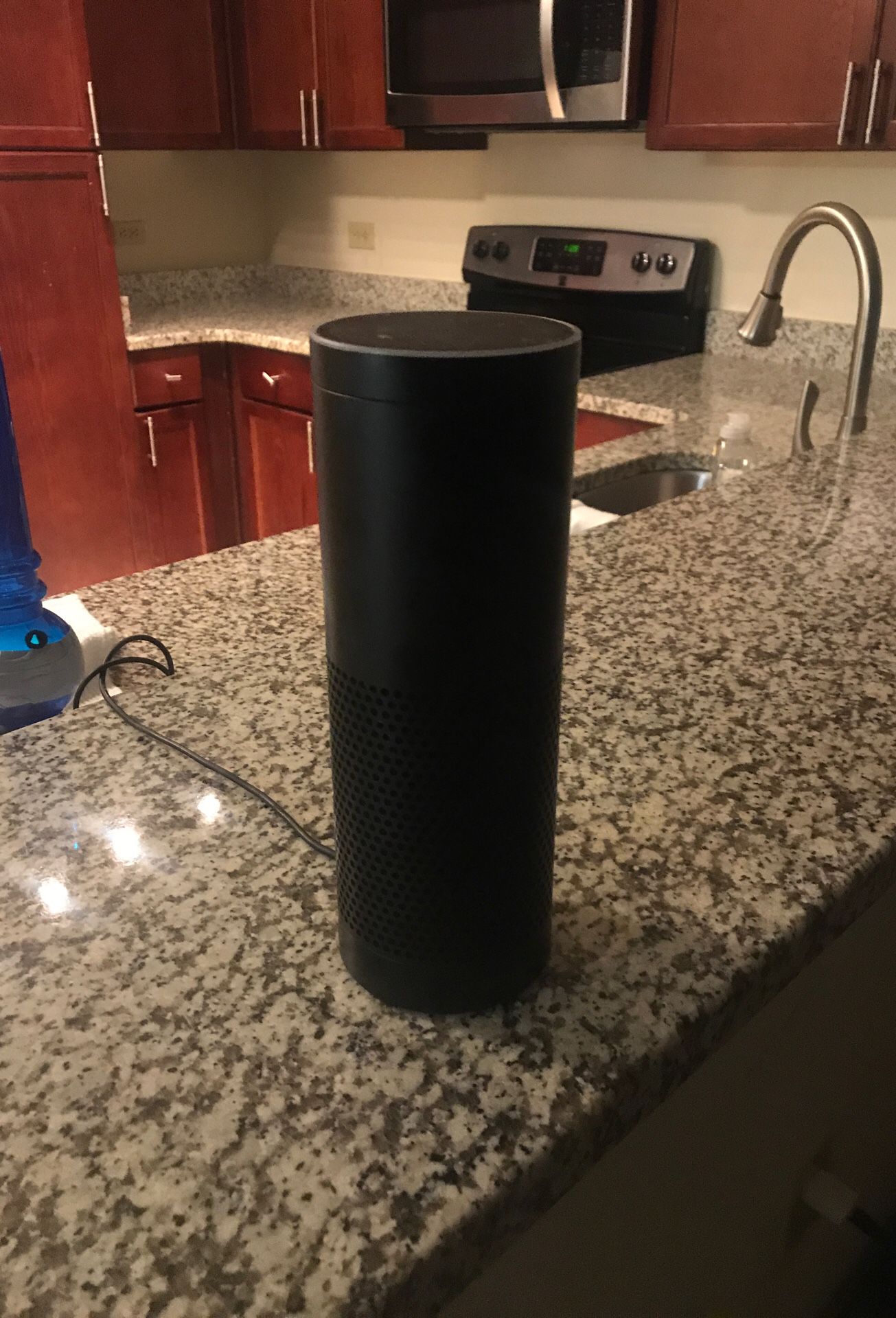 Amazon Alexa First Generation system