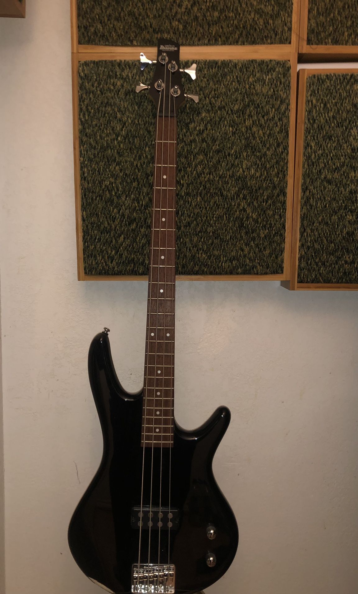 Bass Guitar