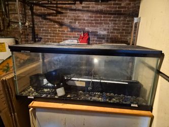 30 gallon tank