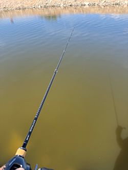 Shimano Expride 610 M Jerkbait Rod
