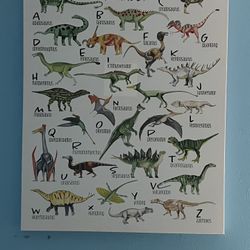 Dinosaur Frames 