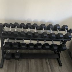 5-50lbs Dumbbells w/Rack 
