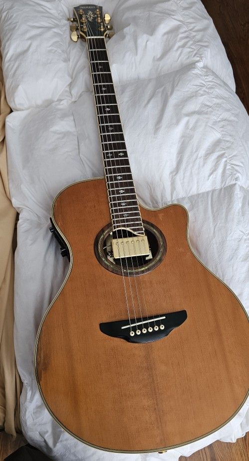 Yamaha Apx10a