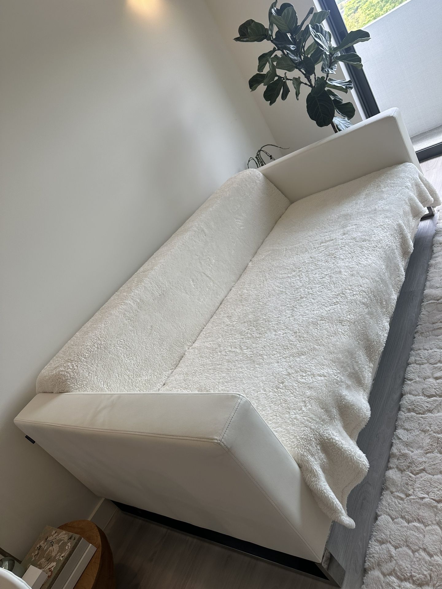 *Free* Modani Futon Couch