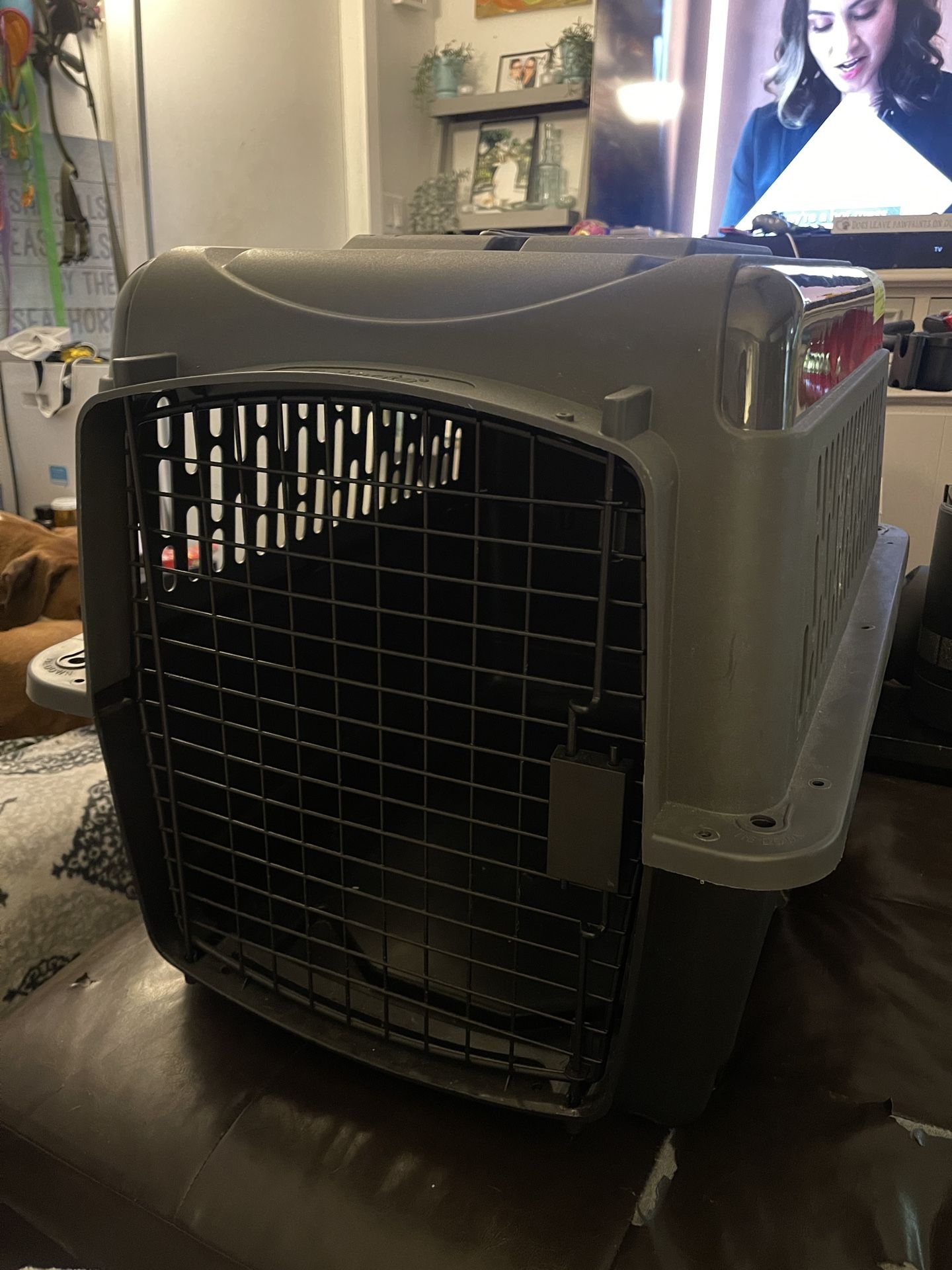 Dog Kennel