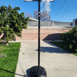 sports LIFETIME 30in Basketball Court
