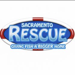 Fish rescue