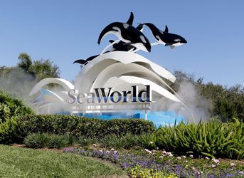 Seaworld And Aquatica