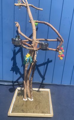 Simple N Artsy …. Parrot Perch Tree… A Big Space Saver ! A Great Look