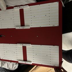 Grow Light
