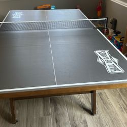 Ping Pong Indoor Table 