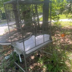 Bird Cage 