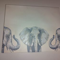 Elephant Wall Canvas