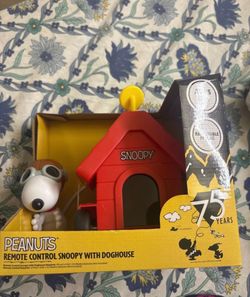 Remote control toy