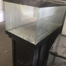 50 Gallon Fish Tank