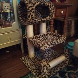 Cat Condo