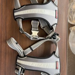 Kong Dog Harness