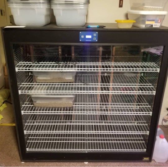 Cornels World Egg Incubator