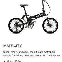 MATE Electric bike. Almost New Condition.