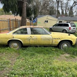 1975 Buick Skylark RS With V8