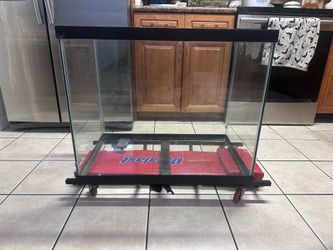 55 gallon tank tall