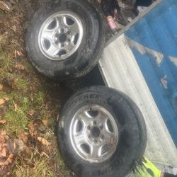 Tires Rims Bikes Helmets 
