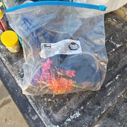 Beta Or Small Fish Tank