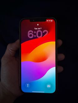 iPhone 12 Pro Max 256 GB Unlocked