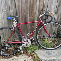 Nishiki Road Bike – Lightweight – Ready to Ride