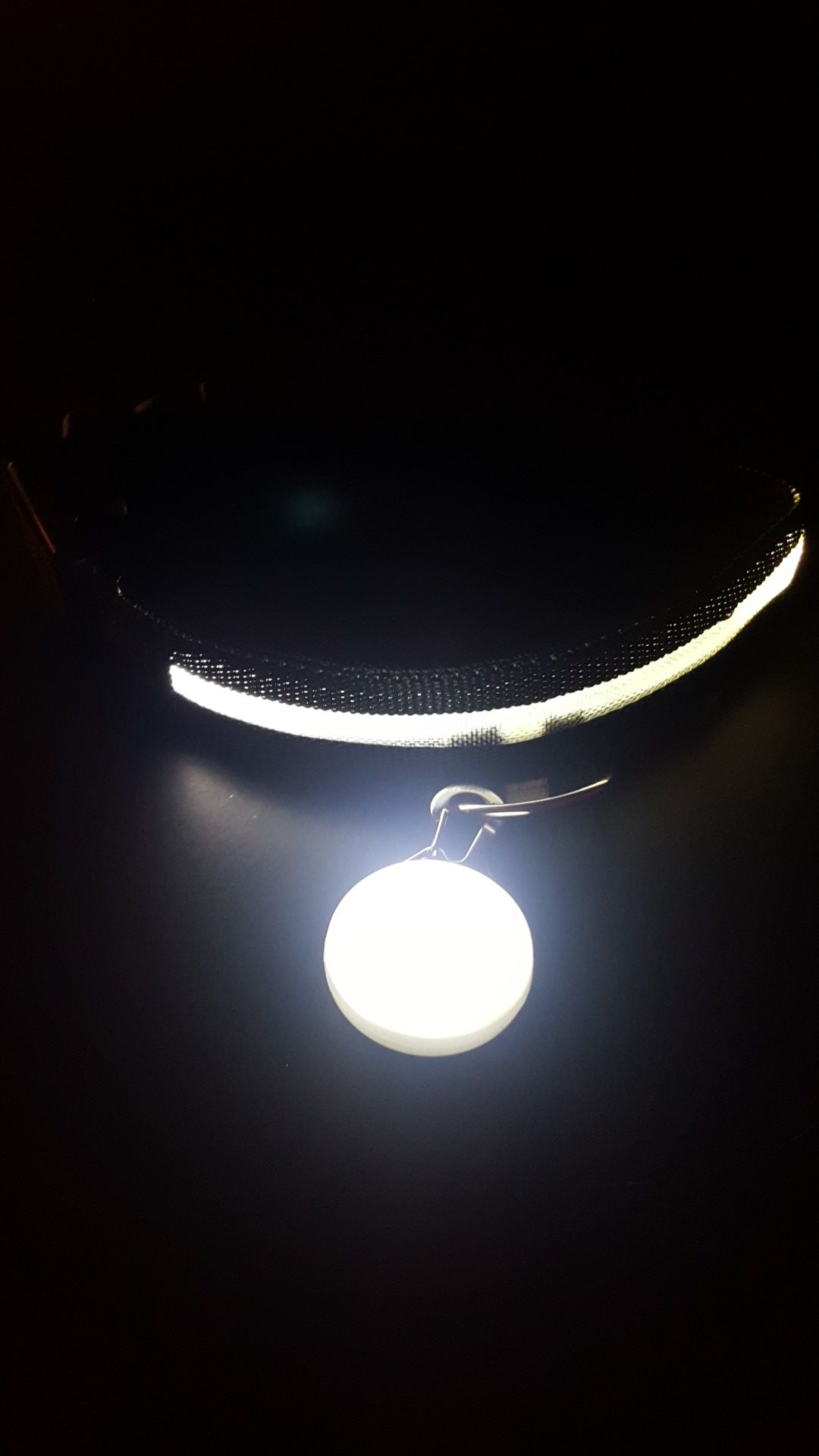 White LED dog collar with light ball - small/medium