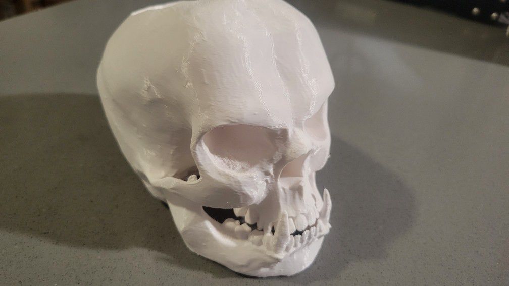 3D Printed Monster Skull Pot