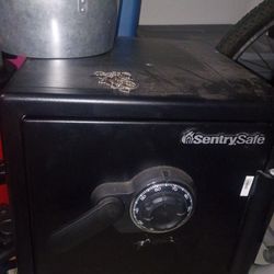 Sentry Safe