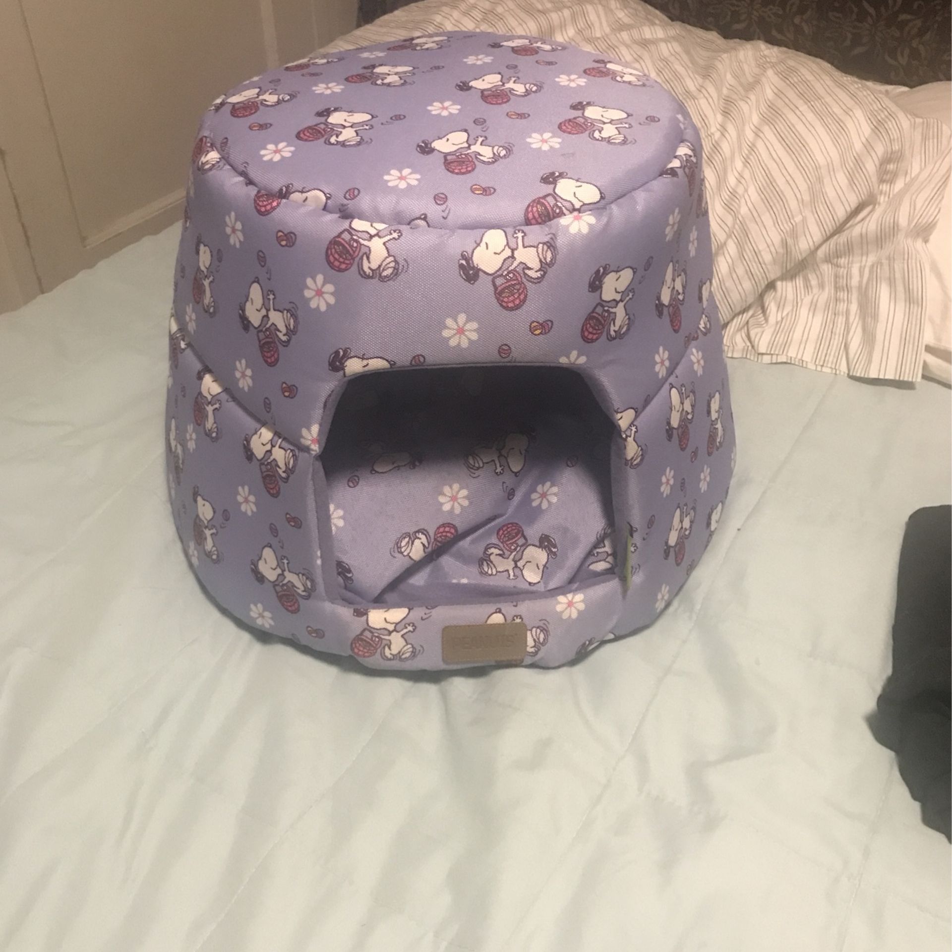 peanuts lil dog house
