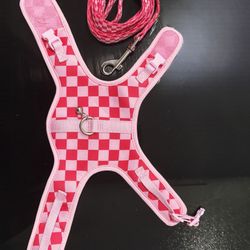 A new small pink harness for cats with a matching leash 🐈