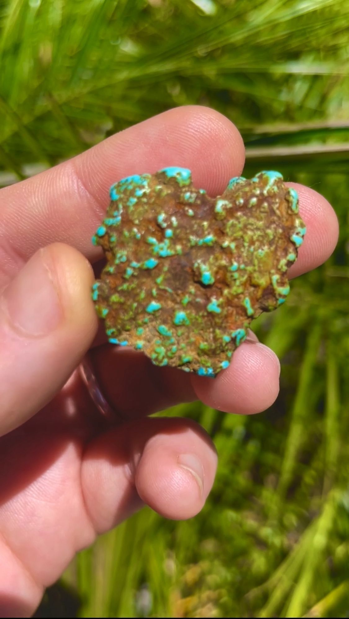 Turquoise