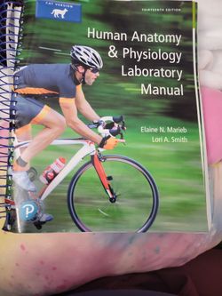 Human A&P Lab Manual.