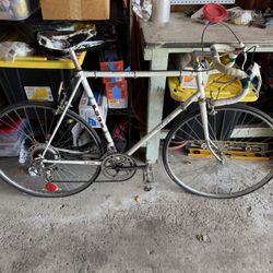 Fuji Royale 12 Speed